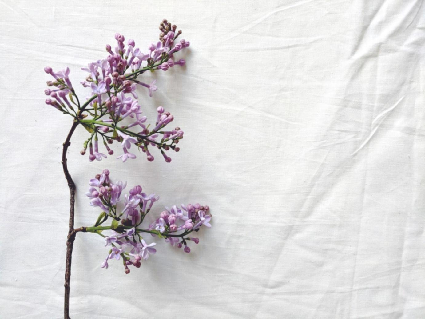 Custom wedding bouquet arrangement with seasonal flowers