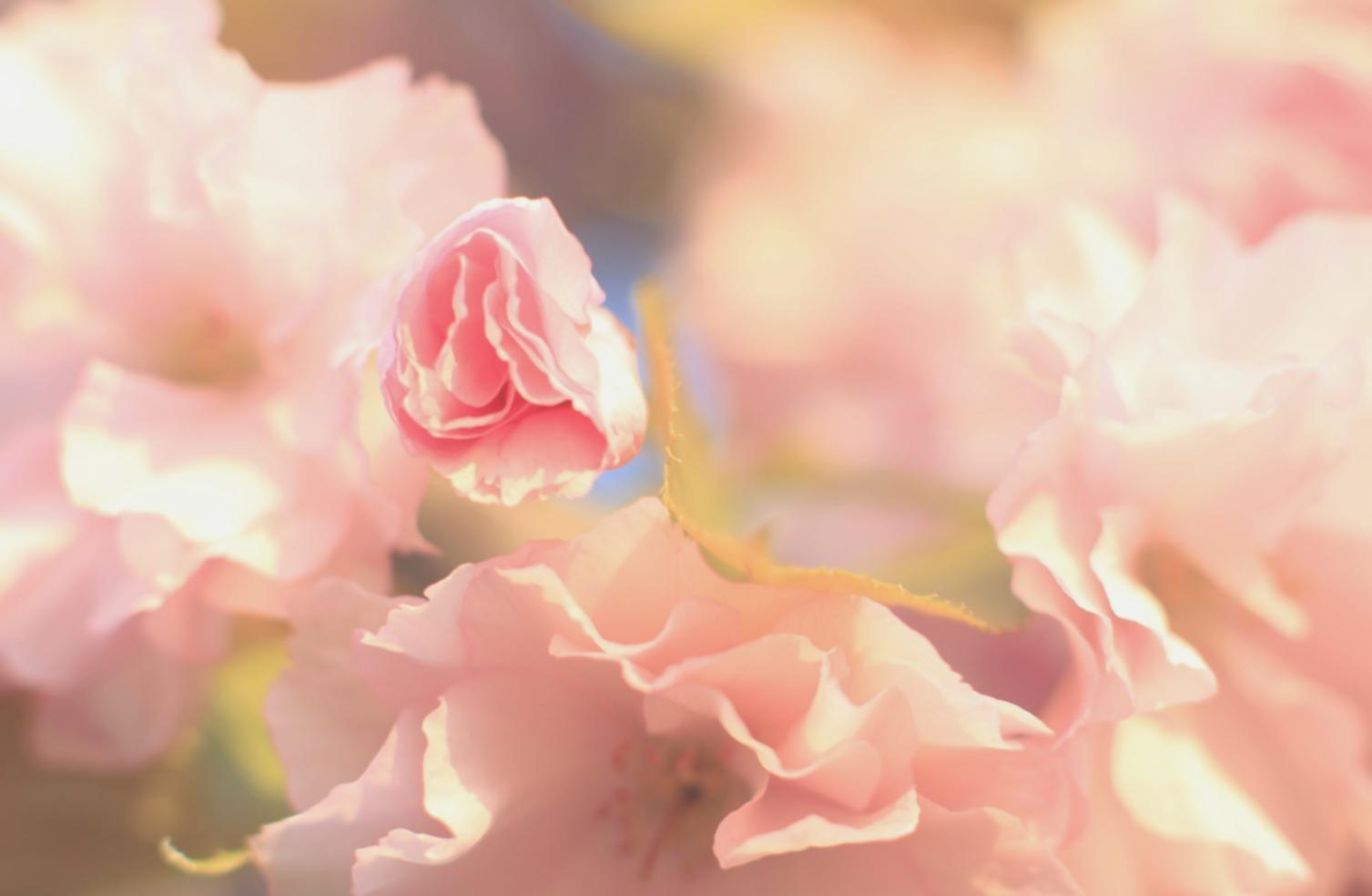 Custom floral arrangement showcasing unique color combinations and geometric design patterns